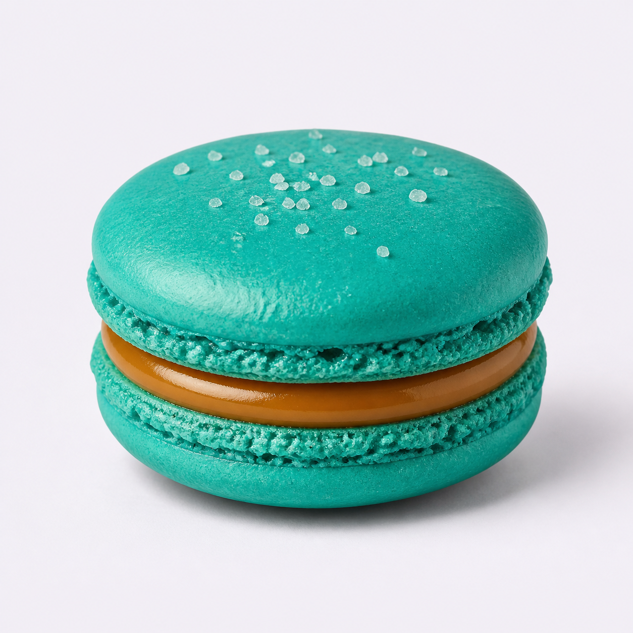 Sea Salt Caramel macaron